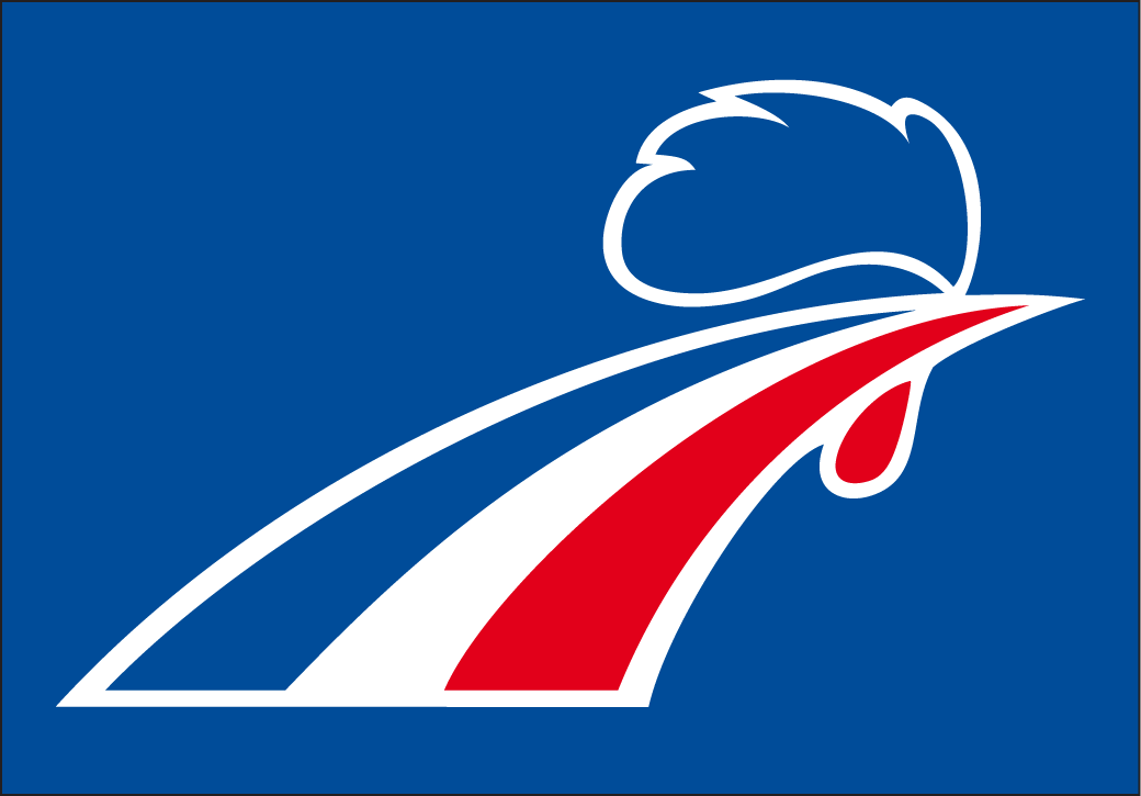 France 2000-Pres Jersey Logo v2 iron on heat transfer